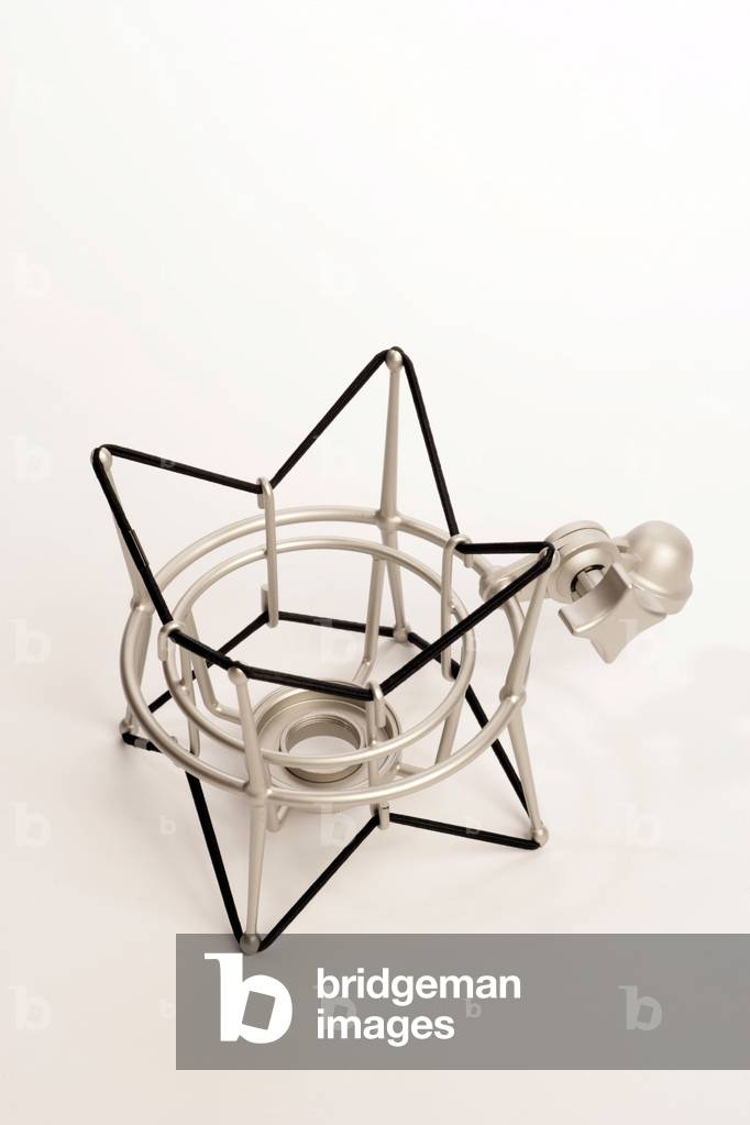 shock mount suspension cage