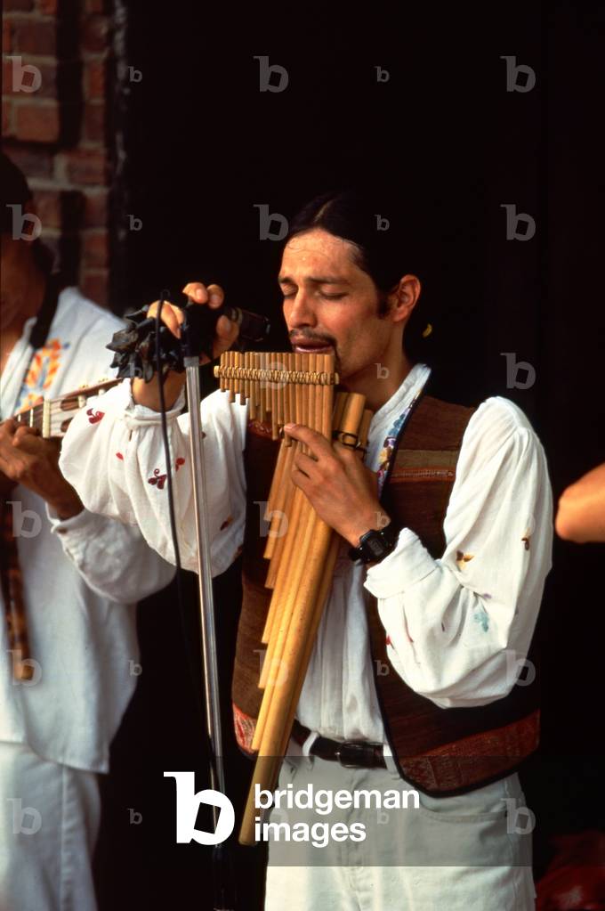 South America  musician