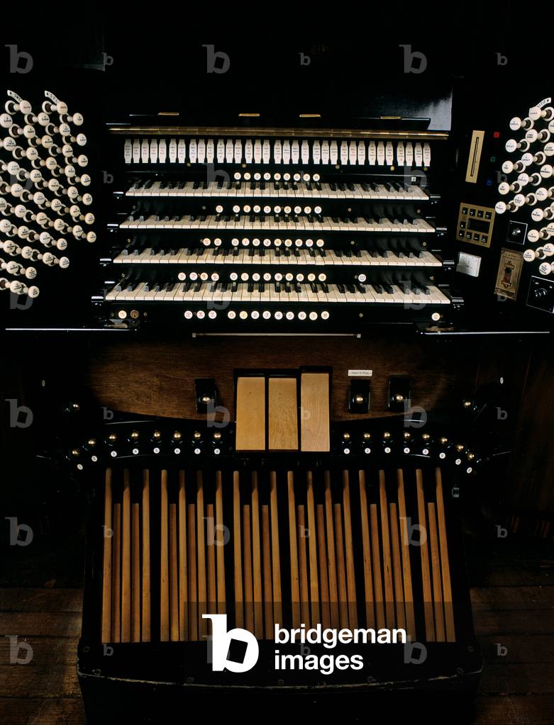 Concert organ  View