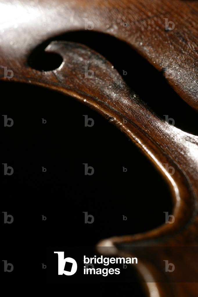 Violin - close-up of