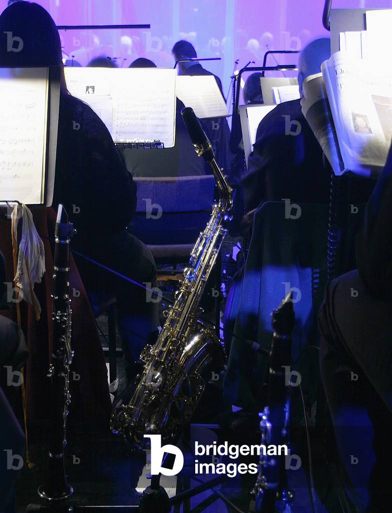 Alto Saxophone Rear view