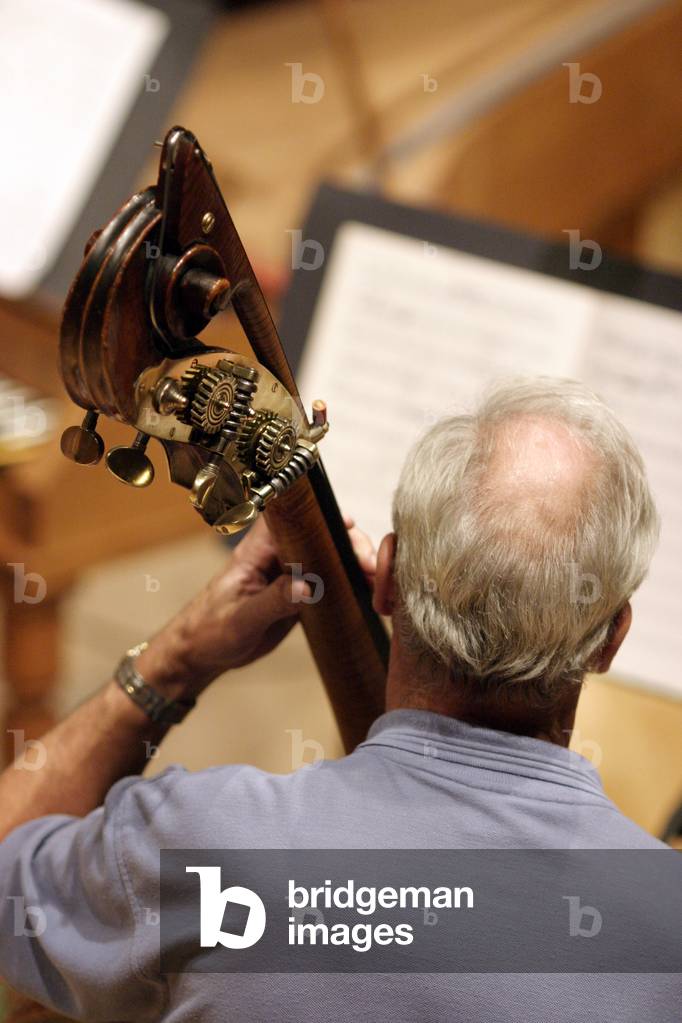 Double bass player seen