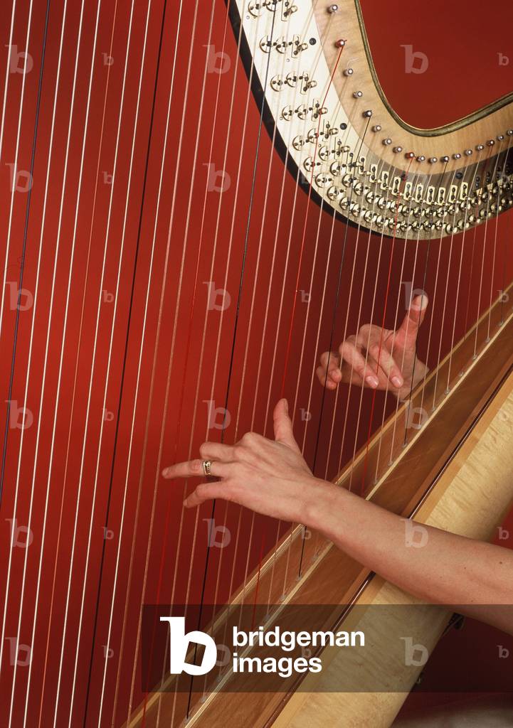 Close-up of female's hands