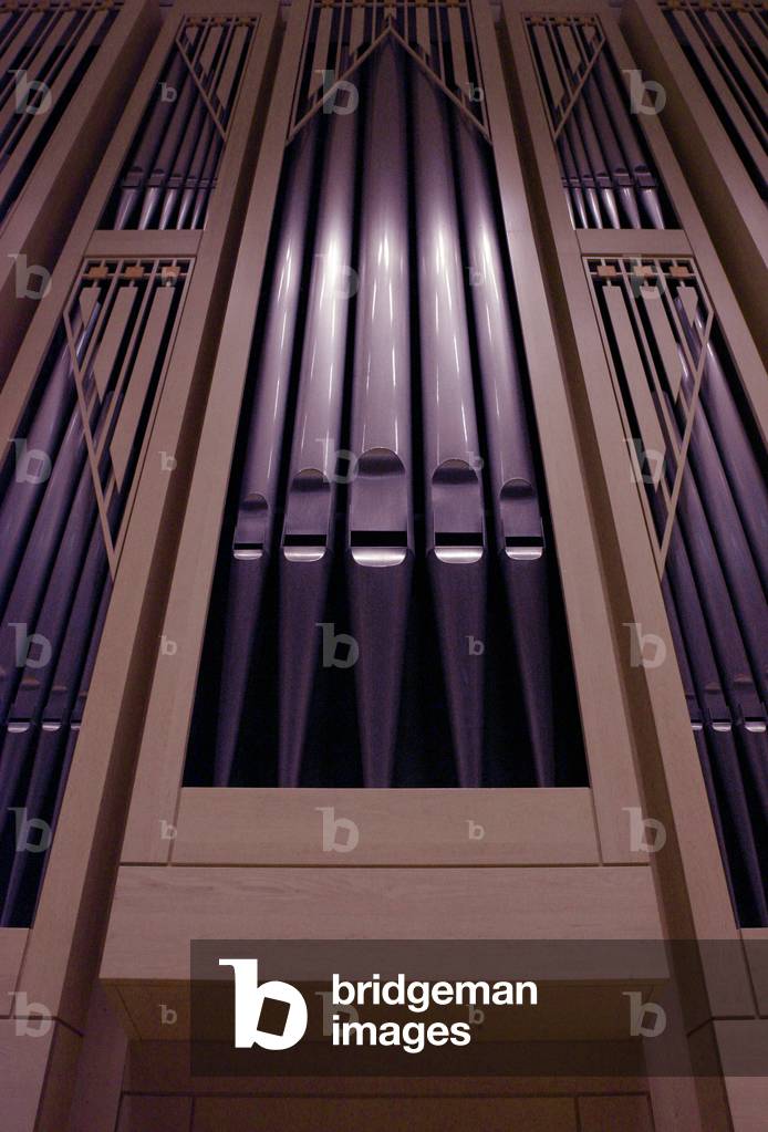 Organ