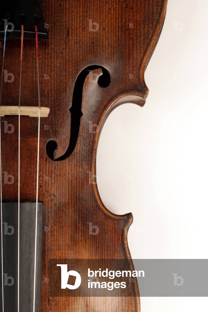 Violin  detail of