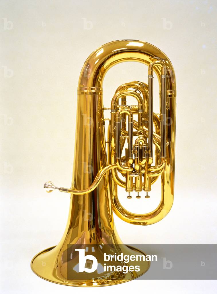 Tuba - on white