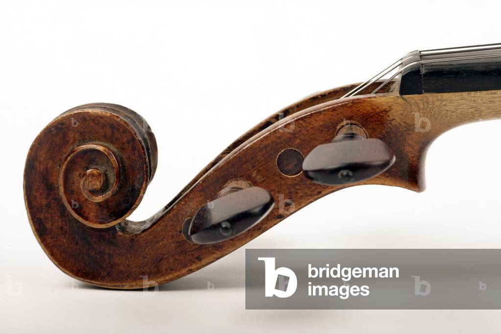 Violin scroll - copy