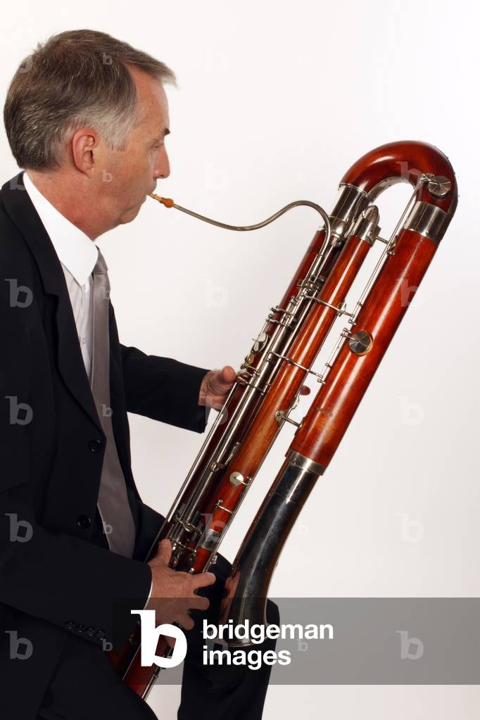 Contra Bassoon player