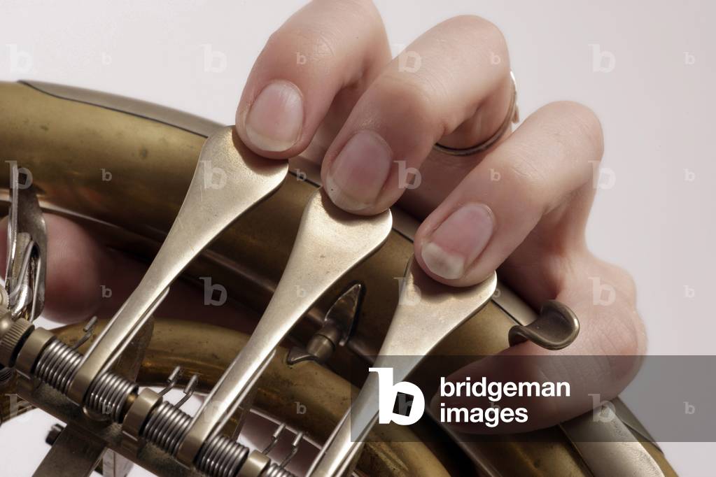 French Horn players fingers
