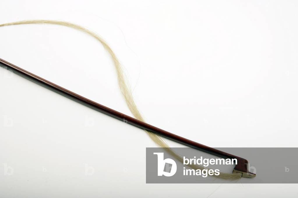 Violin bow - broken