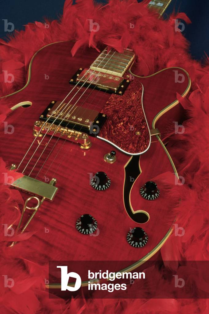 Electric guitar (semi-acoustic) by