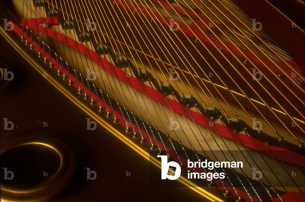INSTRUMENTS - KEYBOARD -