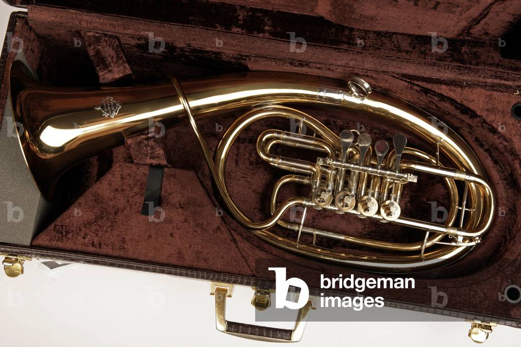 Wagner Tuba in a case,