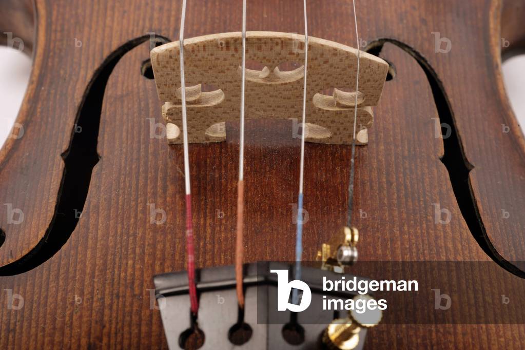 Violin bridge strings and