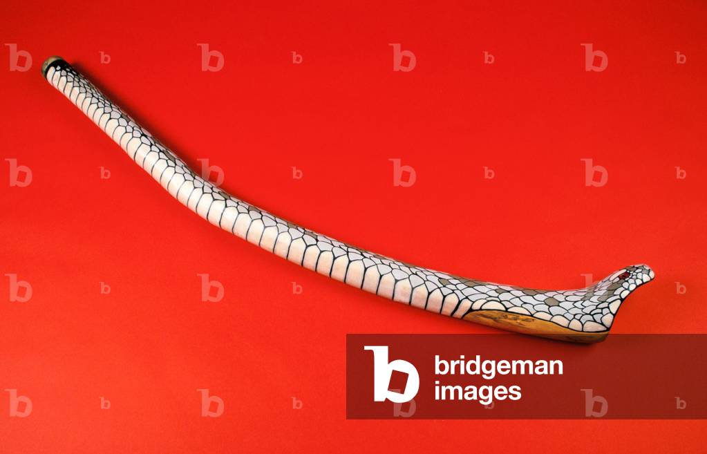 Didgeridoo with snake pattern