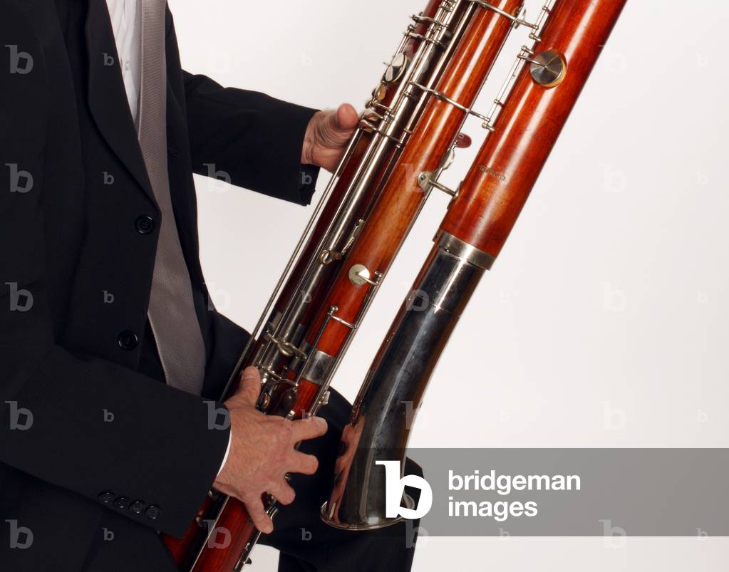 Contra Bassoon player