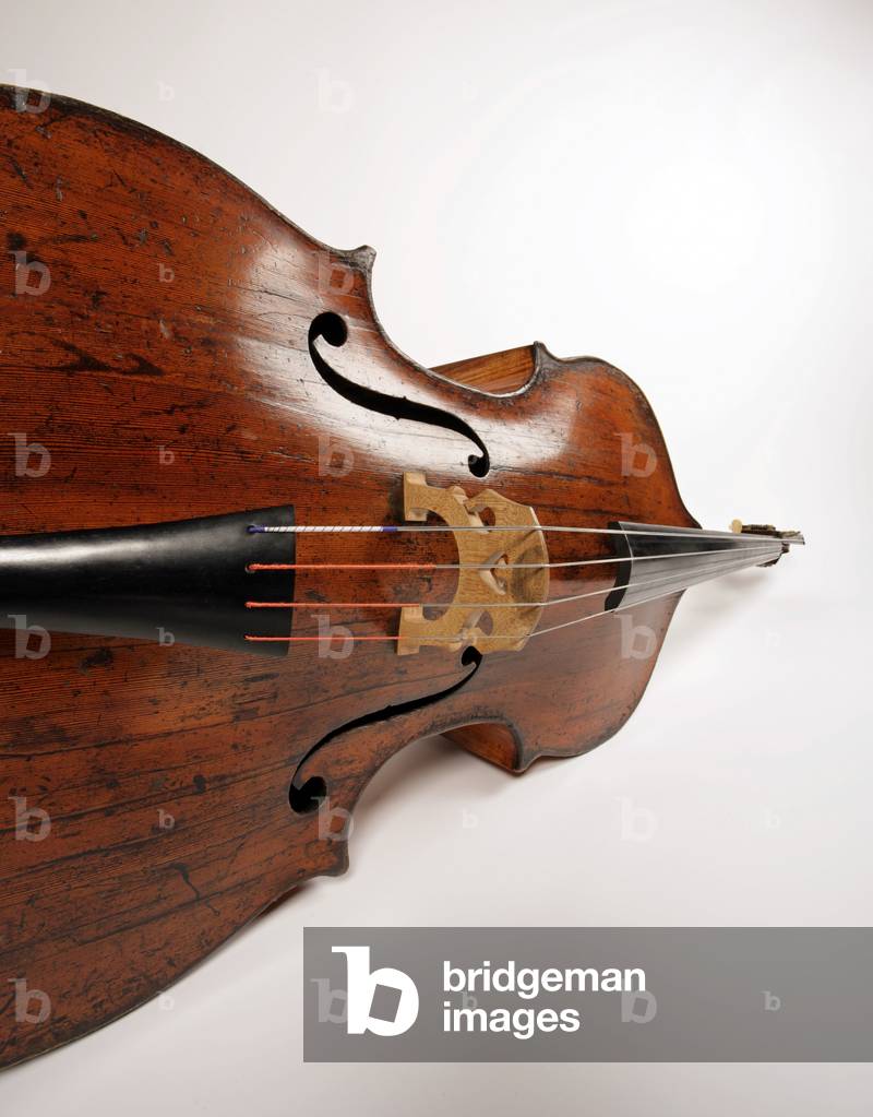 Detail shot of a Double Bass showing strings,