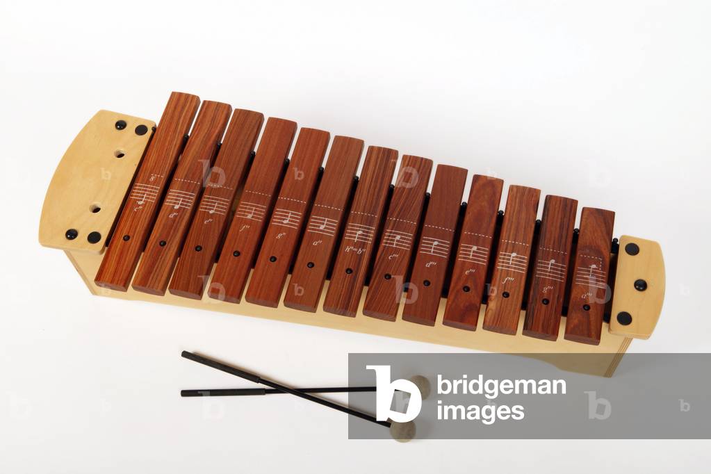 Primary or Junior school Soprano Xylophone with sticks - generic