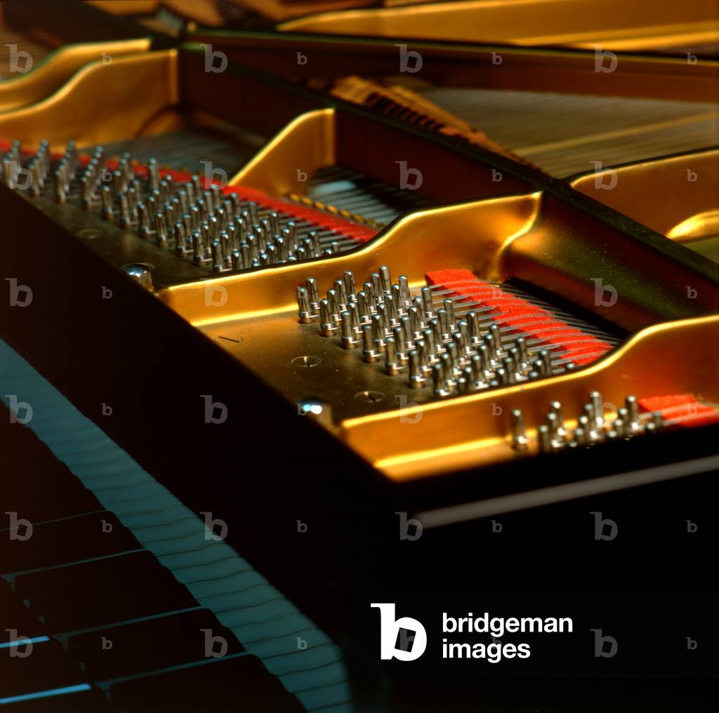 INSTRUMENTS - KEYBOARD