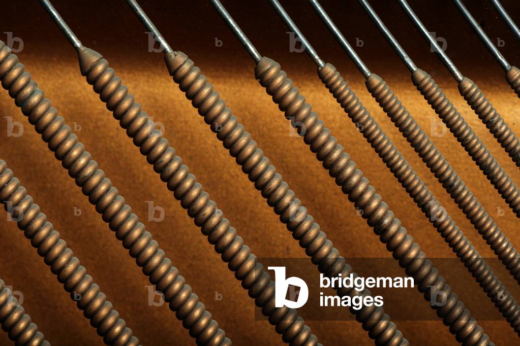 Bass strings from an