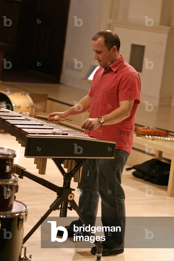 Xylophone player - male