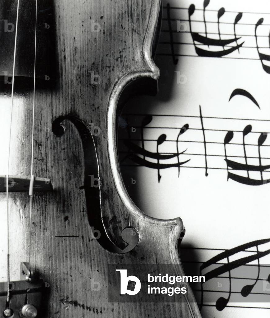 Violin close up showing