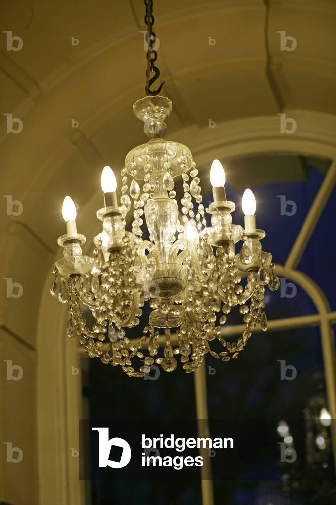 Chandelier - ornate glass