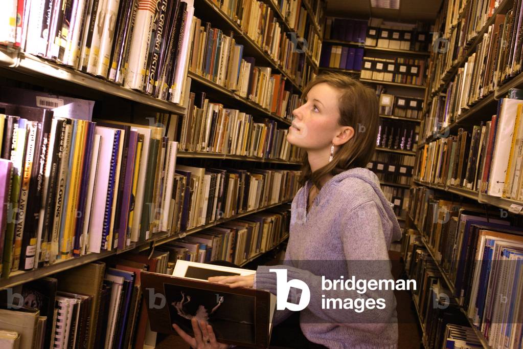 Library / Librarian -