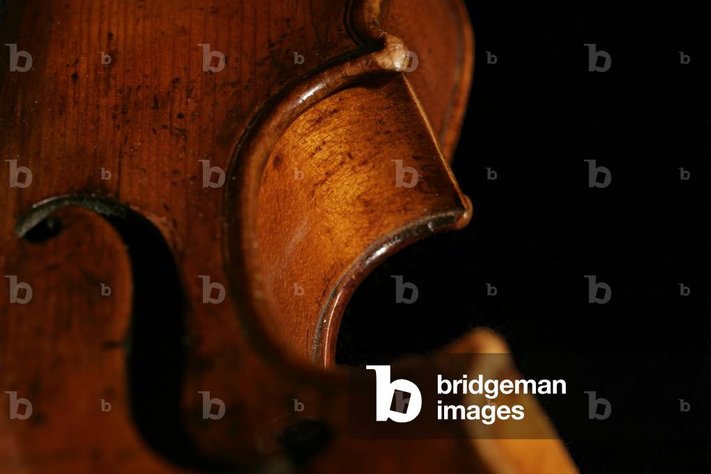 Violin - close-up of