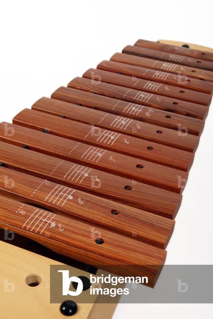 Close up detail of bars and the printed notes on them. On a primary or Junior school Soprano Xylophone with sticks - generic