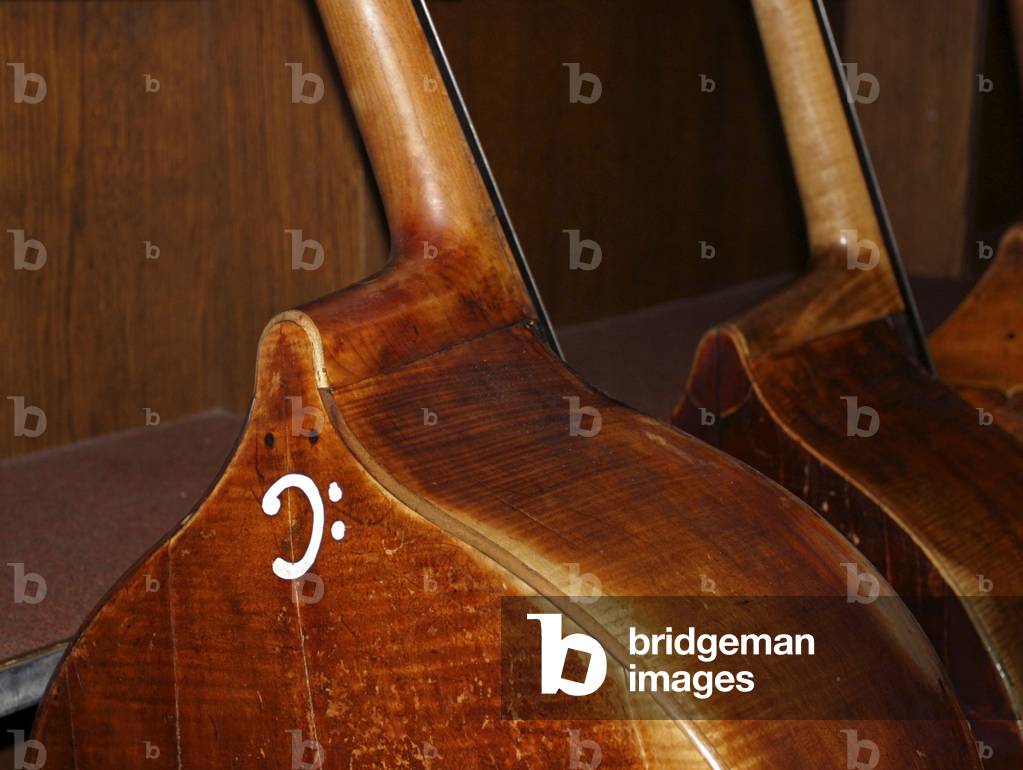 Double Bass - With