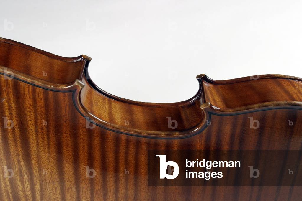 Violin - close up