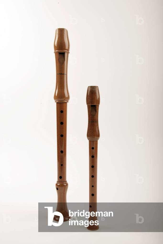 Alto or Treble recorder