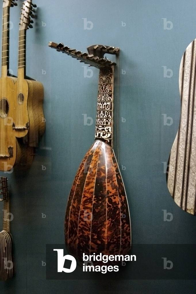 Theorbo-Lute - seen from