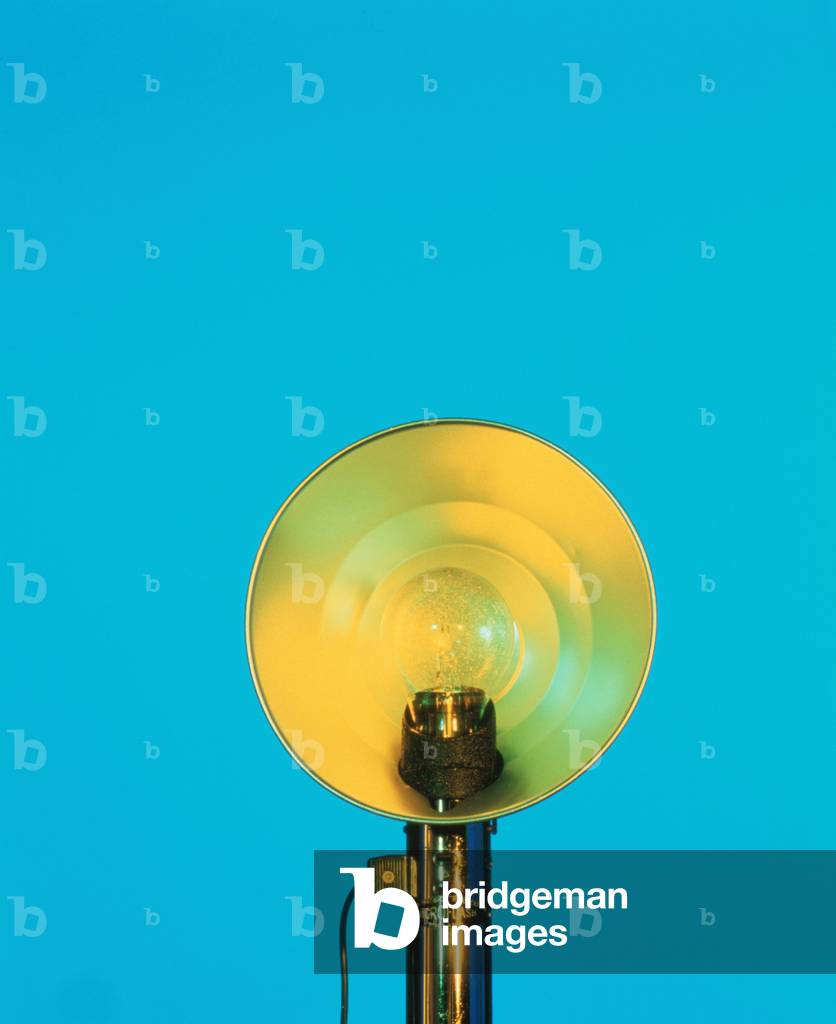 Yellow Flash (photo)