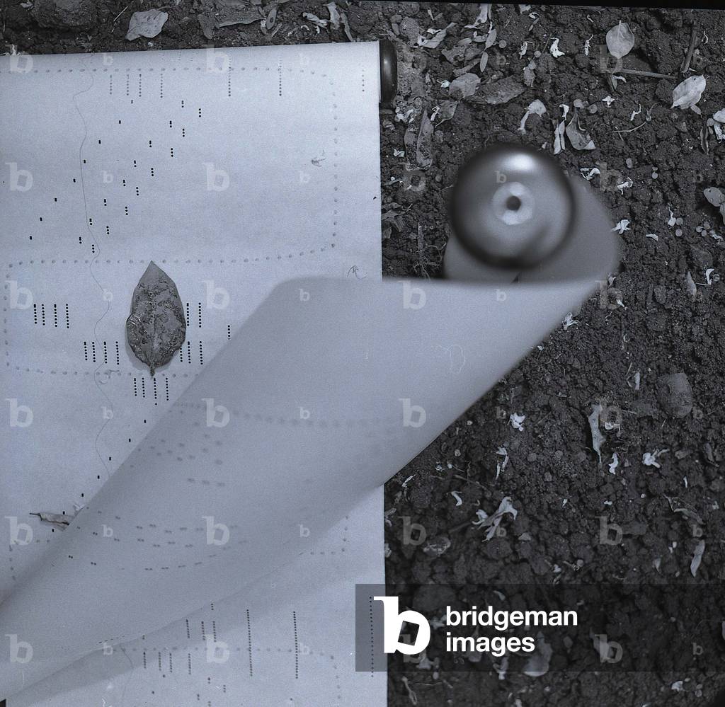 Einstein On The Beach Copy (b/w photo)