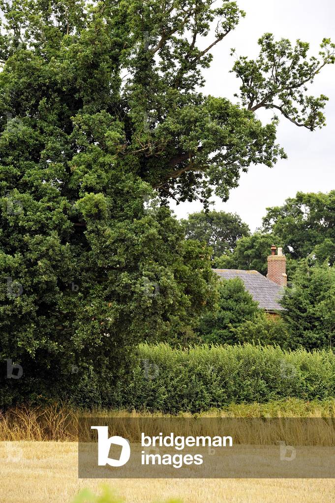 The Rookery, Blundeston - Dickens connection