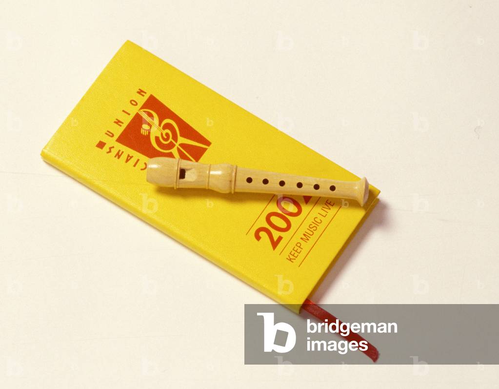 Modern baby recorder resting