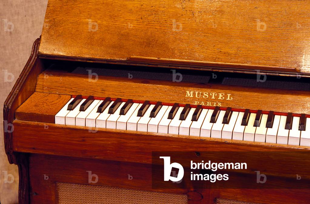 instruments - keyboard -