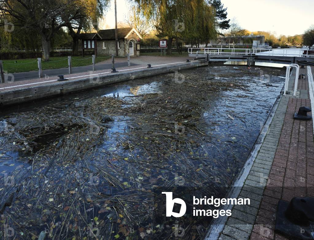 Dickens - Cloisterham Weir