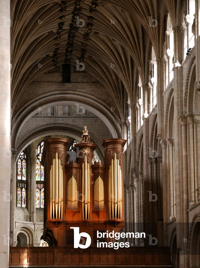 Organ Norwich Cathedral England