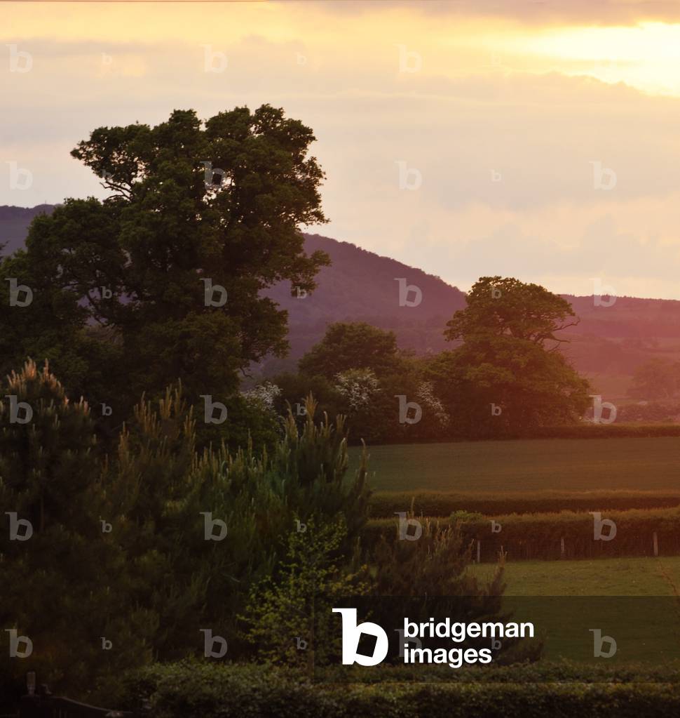 Wenlock Edge