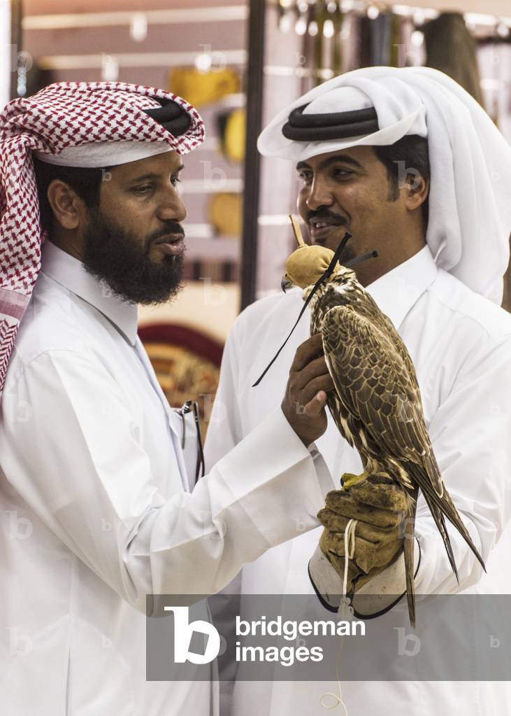 Arabs appreciating falcons