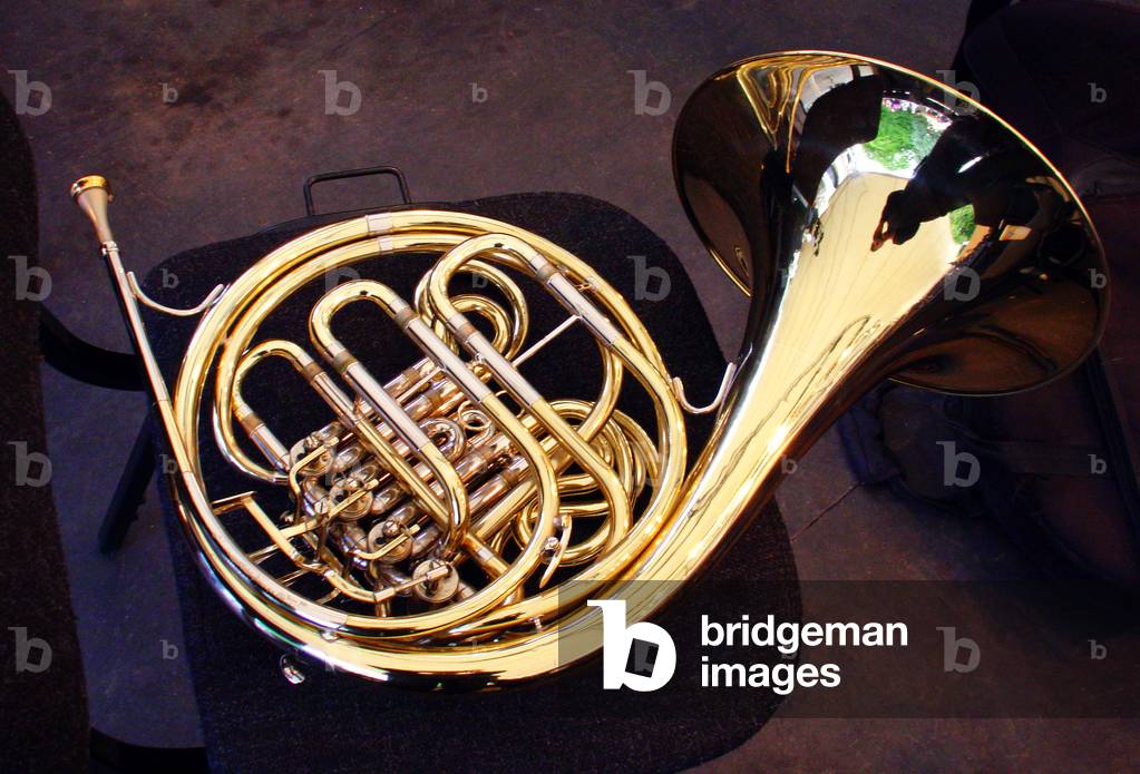 Orchestra double horn by