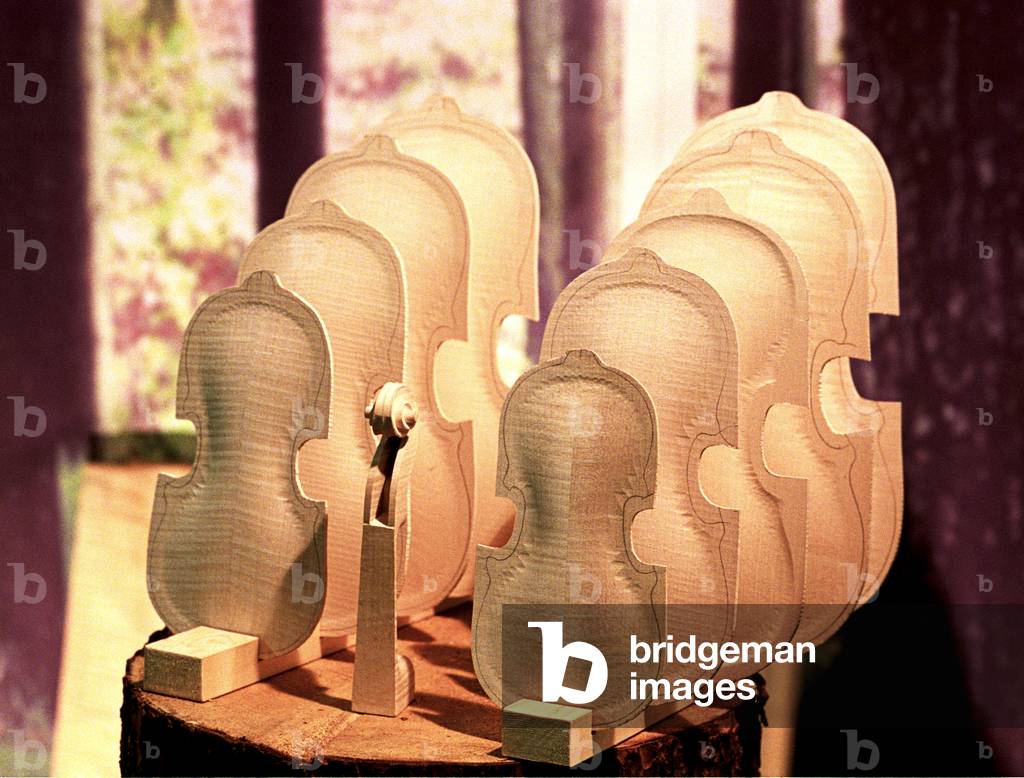 Violin backs and scroll