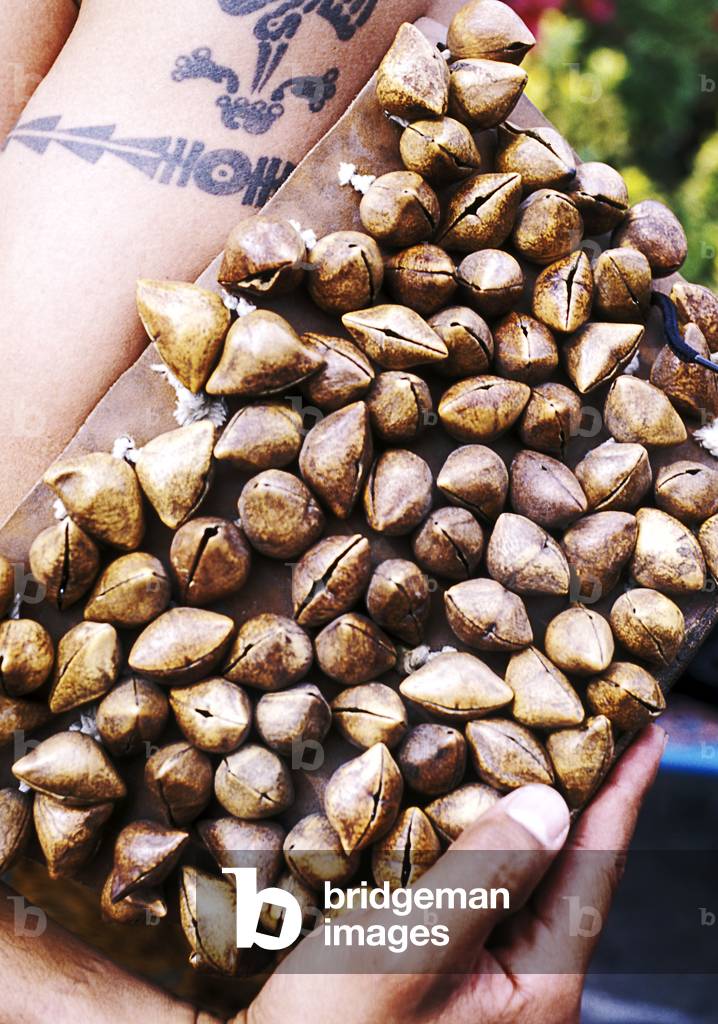 Seed-pod rattle of Mexican folk dancer