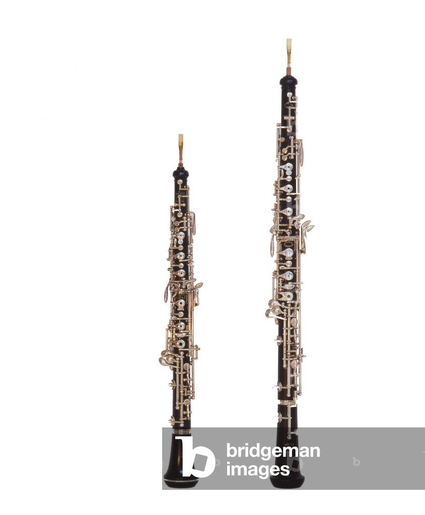 instruments - woodwind -
