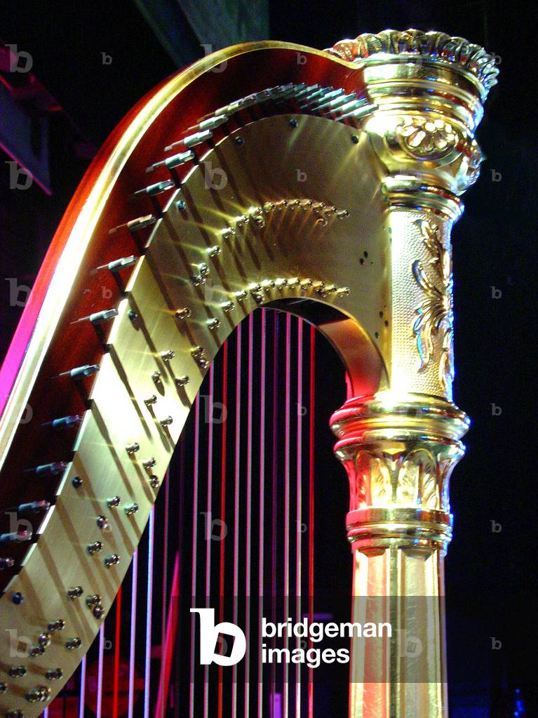 Section of  Orchestral