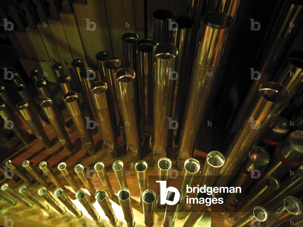 chamber organ pipes