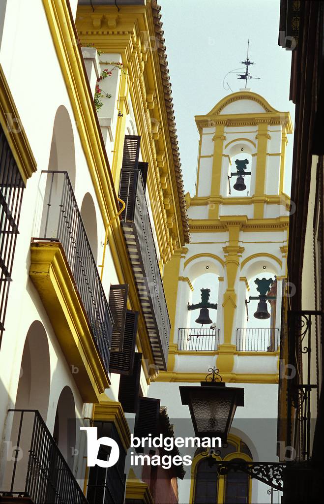 INSTRUMENTS - PERCUSSION -